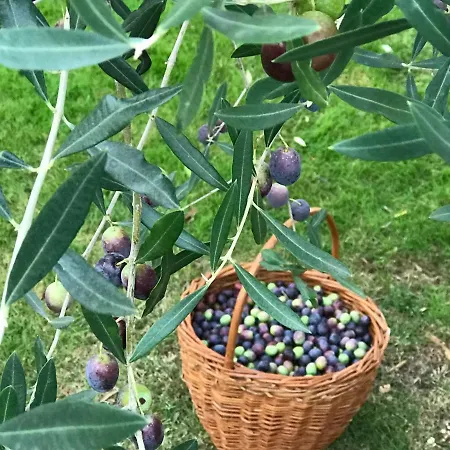 מלון Mala Porec Kukci